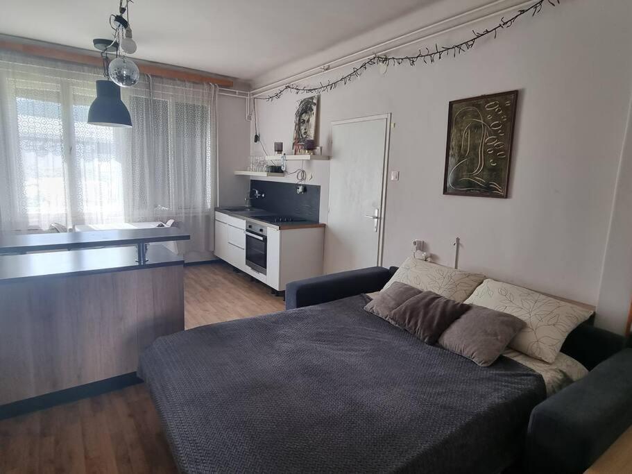 Cosy 2 Room Apartment With Nice Vibe, For Up To 4 Любляна Екстериор снимка